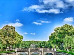 -上海鲜花港