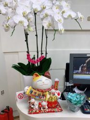 -JUVA欧华医美连锁