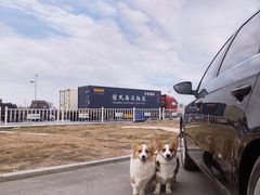 -晚归月亮湾私家菜(临邑路店)
