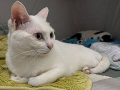 -秋记大排档(国威公寓店)