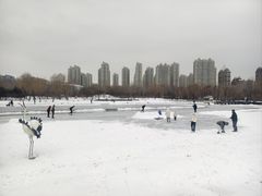 -群力丁香公园