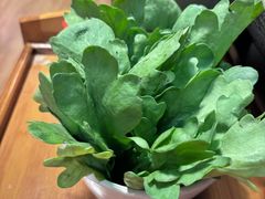 -芦月轩羊蝎子(劲松店)