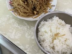 -栾川竹海野生动物园