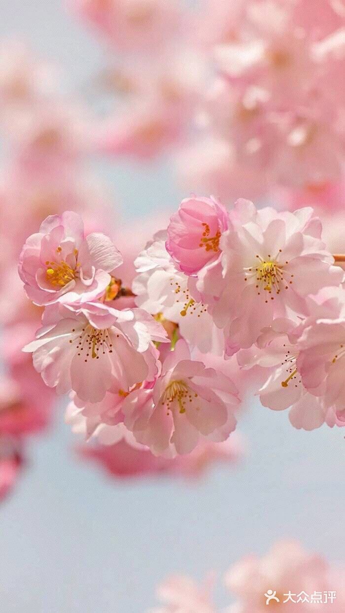 自由，呼吸的日子也不远了。