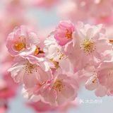 自由，呼吸的日子也不远了。