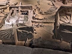 -洛阳周王城天子驾六博物馆