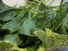 -蝎王府羊蝎子(北大地店)