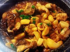 石锅鳗鳞鱼-隆喜元鱼汤包·海鲜(中联广场店)