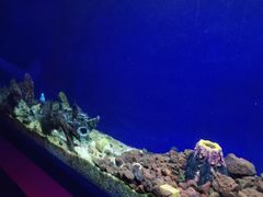 -MOJO密室逃脱(中街旗舰店)