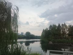 -洋湖国家湿地公园