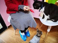 -李小姐の猫咖啡馆(五角场店)