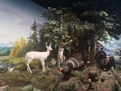 -陕西自然博物馆