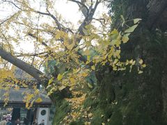 -无锡惠山寺