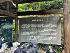 -杨家堂村