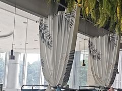 -三个椰子·现砍椰子鸡(金源CBD店)