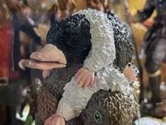 -seed station 中古玩具店(北投购物店)