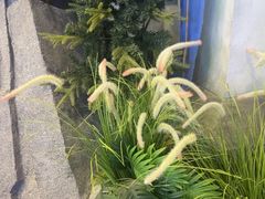 -暴风岛沉浸式体验馆(百联世纪店)