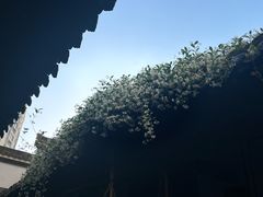 -不倒翁·徽天下名菜楼(马鞍山路店)