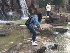 -上海鲜花港
