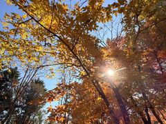 -长春市南湖公园