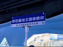 -海合安武汉极地海洋公园