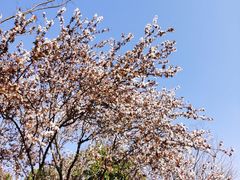 -太湖湖滨国家湿地公园-停车场