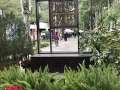 -瑞穗牧场