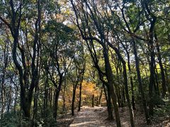 -西湖风景区十里琅珰-五云山