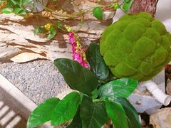 -范家小馆·烤鸭新京菜(金融街店)