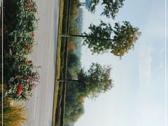 -西安浐灞国家湿地公园