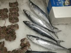-盒马鲜生(大成店)