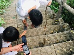 -牛背梁国家森林公园