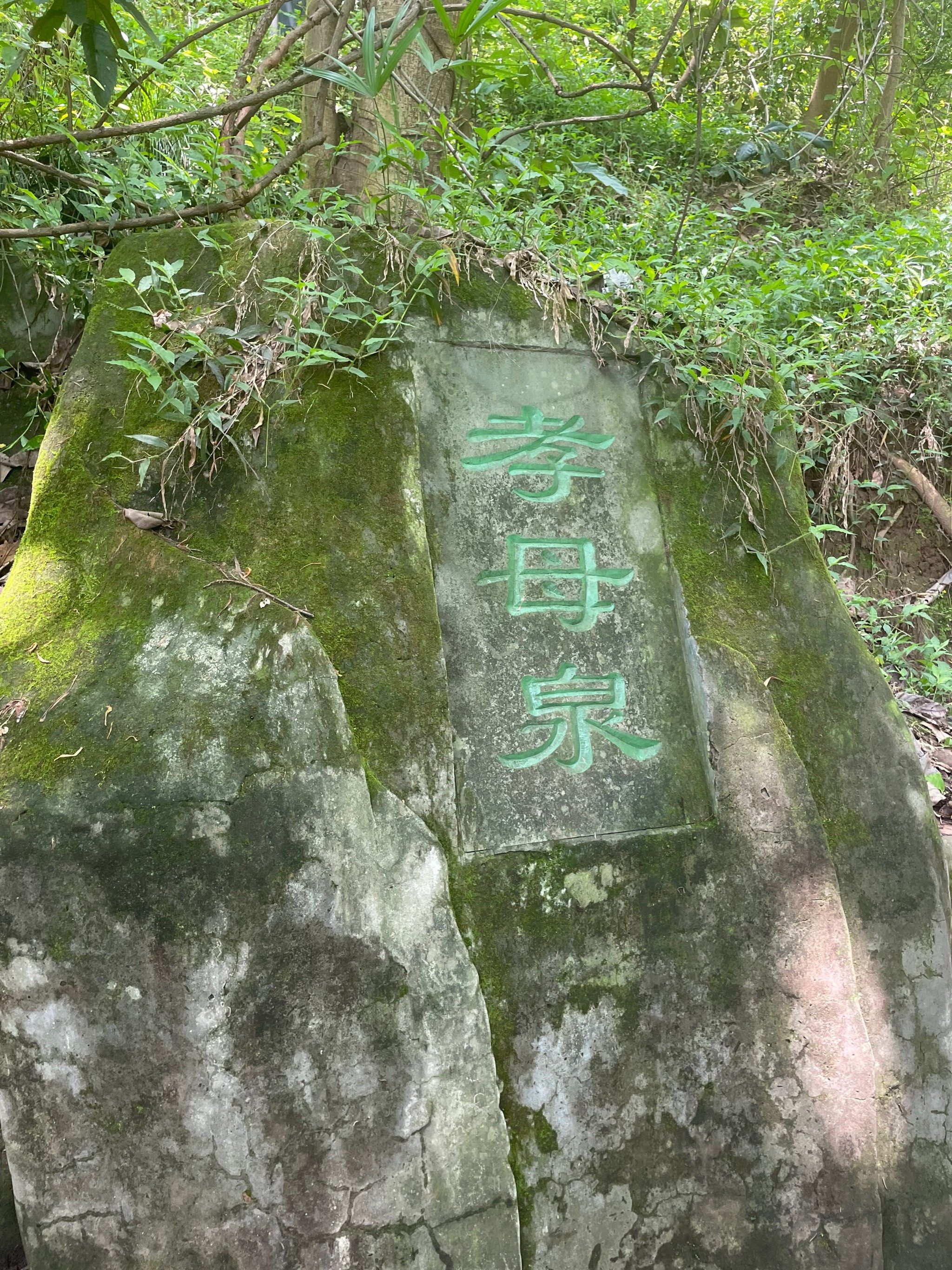 照母山森林公园