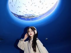 -欢乐海岸海洋奇梦馆