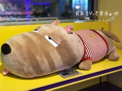 -PAWTOY爪e玩偶店(天兴罗斯福店)