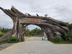 -蔡家宅