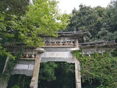 -蝴蝶泉公园