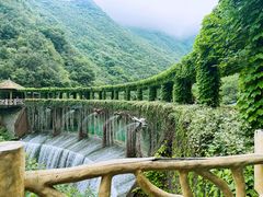 -郧西五龙河风景区