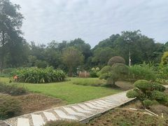 -广西壮族自治区药用植物园
