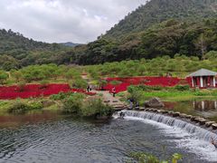 -广州市石门国家森林公园