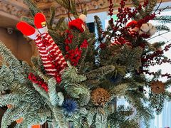 -玲婧胡同·生日蛋糕·餐厅(嘉里城店)