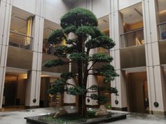 -外滩·云南人家(昆明旗舰店)