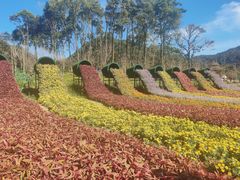 -广州市石门国家森林公园