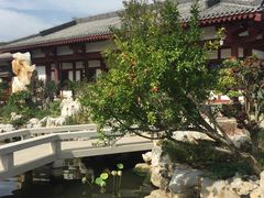 -宝鸡植物园