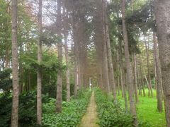 -黑龙江省森林植物园