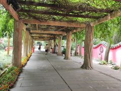 -房湖公园