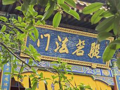 -西安大兴善寺