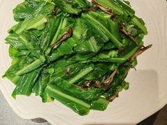 丁香鱼仔炒台湾山苏-南海渔村(珠江新城店)