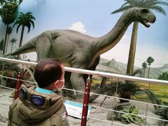 -国家自然博物馆