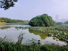 -艾溪湖湿地公园